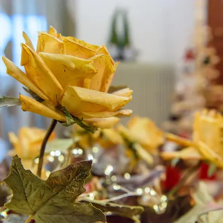 Joanna's Centre Tripoli