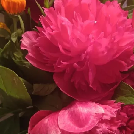 Apartmán Joanna's Centre