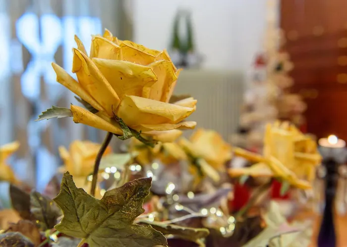 Joanna's Centre Триполис